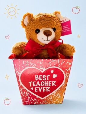 🧸 2/$45 NWT Best Teacher Ever Teddy Bear Gift Bucket Teacher Appreciation Gift